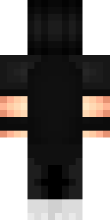 Задняя часть скина игрока 1_zhantik_1