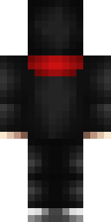 Задняя часть скина игрока 3JIOY_HECJIUX