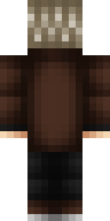 Задняя часть скина игрока 3aHo3u