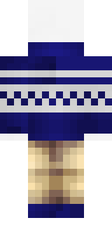 Задняя часть скина игрока 77nik