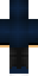 Задняя часть скина игрока AL0VE