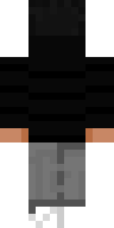 Задняя часть скина игрока Agent87_