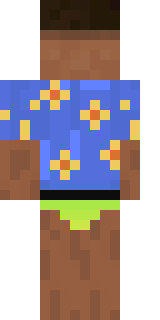 Задняя часть скина игрока AlexeyShevcov