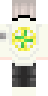 Задняя часть скина игрока Amazing_pocket