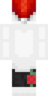 Задняя часть скина игрока Andrej006