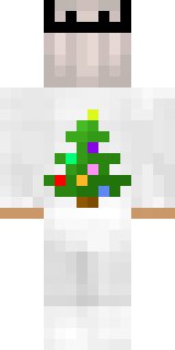 Задняя часть скина игрока AnleaR