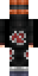 Задняя часть скина игрока Artester