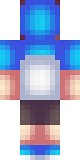 Задняя часть скина игрока ArturDef