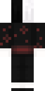 Задняя часть скина игрока BBARSIKK