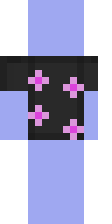 Задняя часть скина игрока BBeKZ