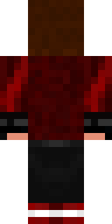 Задняя часть скина игрока BadDima