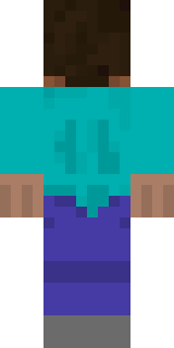 Задняя часть скина игрока BionicEyes4