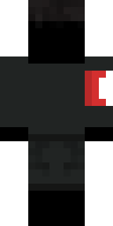 Задняя часть скина игрока BlackHouse