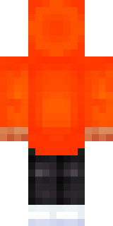 Задняя часть скина игрока BoMBASTeeR