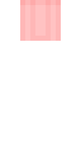 Задняя часть скина игрока Bop3bIu