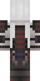 Задняя часть скина игрока BraveBorsch