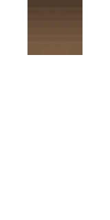 Задняя часть скина игрока Bridast