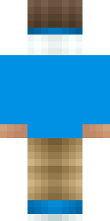 Задняя часть скина игрока CMETAHKA_TAHK