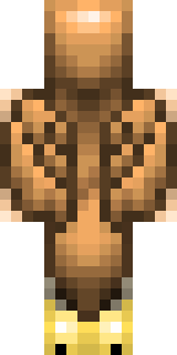 Задняя часть скина игрока COBA_BLYA