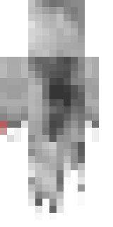 Задняя часть скина игрока City