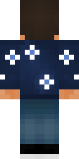 Задняя часть скина игрока Cmepmb