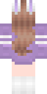 Задняя часть скина игрока Coney