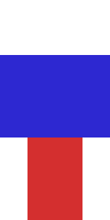 Задняя часть скина игрока D10