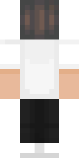 Задняя часть скина игрока DN_tasher