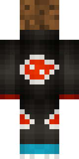 Задняя часть скина игрока DaNtM