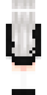 Задняя часть скина игрока Dak_Craft_YT