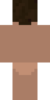 Задняя часть скина игрока DanFeeD2