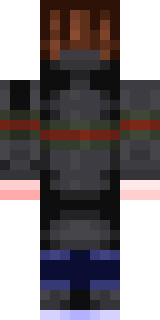 Задняя часть скина игрока DanelMinecraft