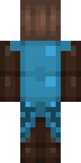 Задняя часть скина игрока Dasterem981