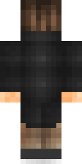 Задняя часть скина игрока Dastur24