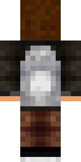 Задняя часть скина игрока DiMoN_Guy