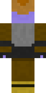 Задняя часть скина игрока Dj_Crepper228