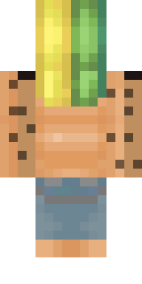 Задняя часть скина игрока Dolbaeb3OOO