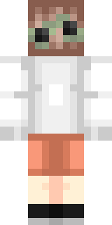 Задняя часть скина игрока DreamHackGuild