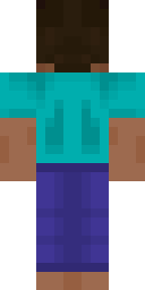 Задняя часть скина игрока Dvoyka32