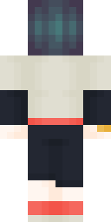 Задняя часть скина игрока ER7k