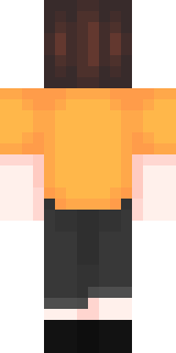 Задняя часть скина игрока ElwiElite