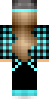 Задняя часть скина игрока ElyaYT