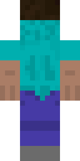 Задняя часть скина игрока EnderMagick