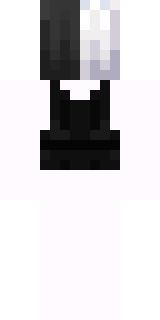 Задняя часть скина игрока Ender_Nyallla