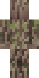 Задняя часть скина игрока Epi4nost