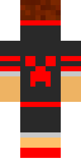 Задняя часть скина игрока Flancy_