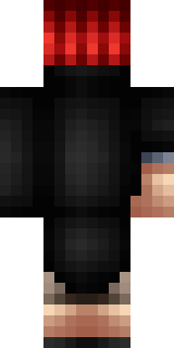 Задняя часть скина игрока FlashWorldF_F