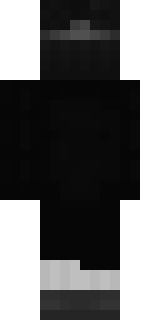 Задняя часть скина игрока FlashZero