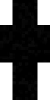 Задняя часть скина игрока Flaster_