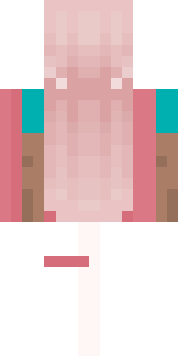 Задняя часть скина игрока Florina